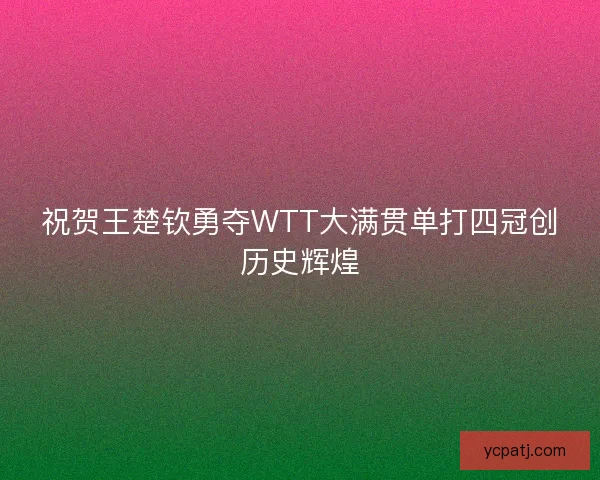 祝贺王楚钦勇夺WTT大满贯单打四冠创历史辉煌